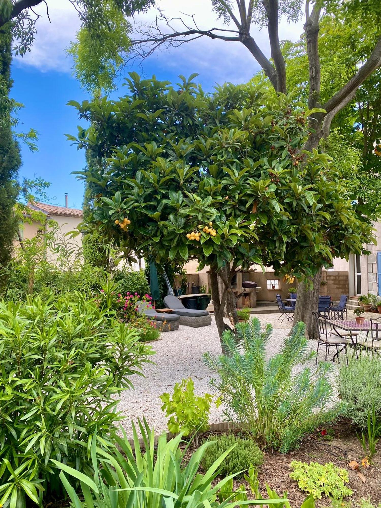 Maison du Midi, 2 Gîtes de charme Ginestas Extérieur photo